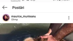 Galerie foto - Poza #4