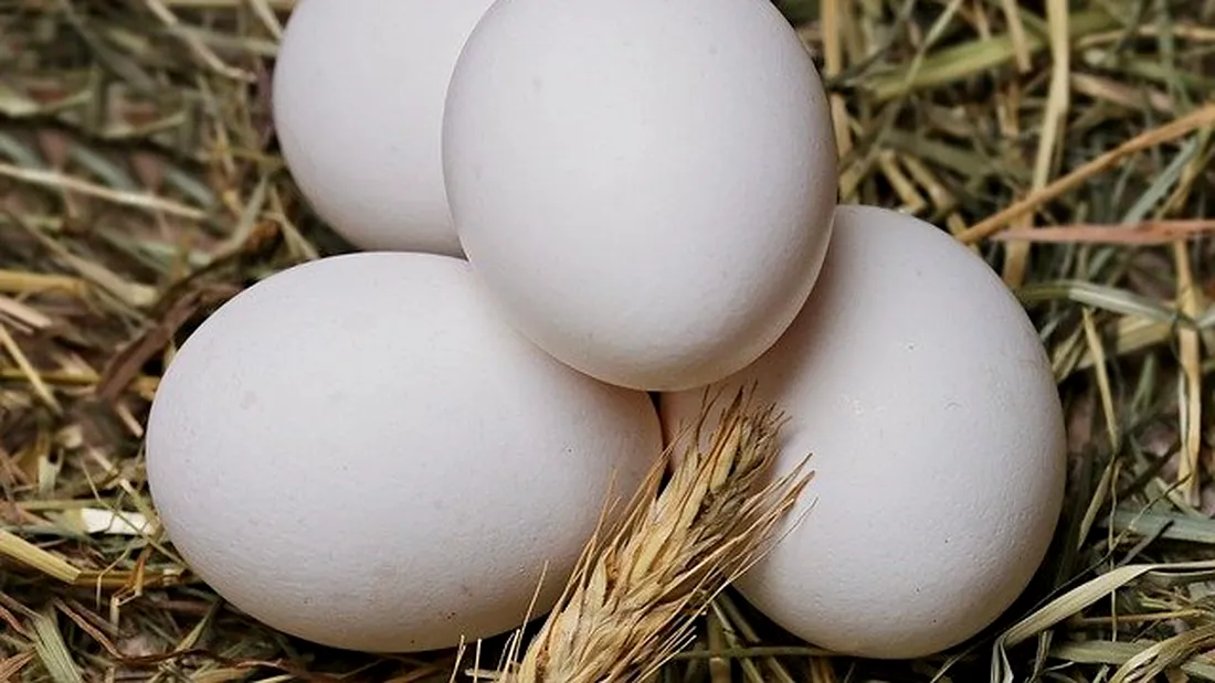 Alertă în București. Au fost descoperite peste 260.000 de ouă contaminate cu Salmonella la un centru de ambalare