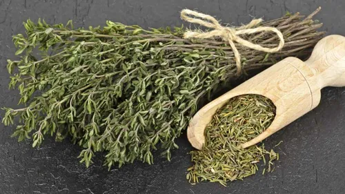 Cimbrul, unul dintre cele mai puternice antibiotice naturale din lume. Sfaturi de la dr. Daniela Bușneag
