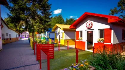 Satul câinilor, model pentru adăposturile din întreaga lume. Au un confort uimitor