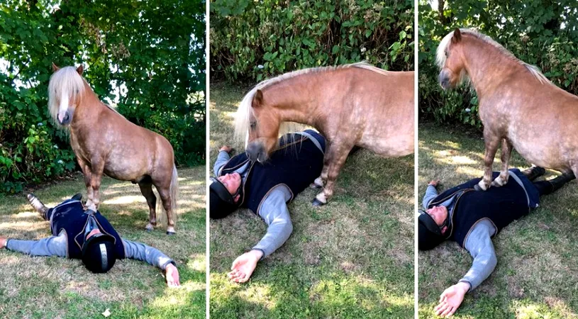 Si-a dresat poneii in cel mai uimitor mod! Animalele simpatice stiu cum sa faca manevre de resuscitare pe oameni VIDEO