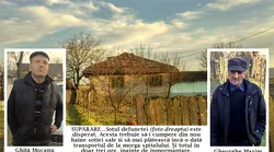 Galerie foto - Poza #4