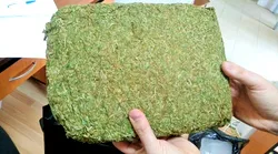 Galerie foto - Poza #4