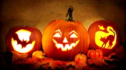 Galerie foto - Poza #1