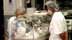 Galerie foto - Poza #4