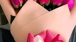 Galerie foto - Poza #4