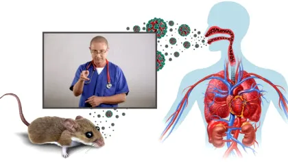 Hantavirusul, virusul transmis de rozătoare! Medicul Tudor Ciuhodaru explică simptomele și când trebuie să ajungi urgent la spital