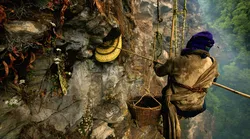 Galerie foto - Poza #4