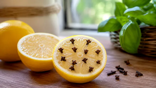 Soluția naturală care alungă muștele din casă fără chimicale. Trucul simplu folosit tot mai des vara