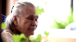 Galerie foto - Poza #4