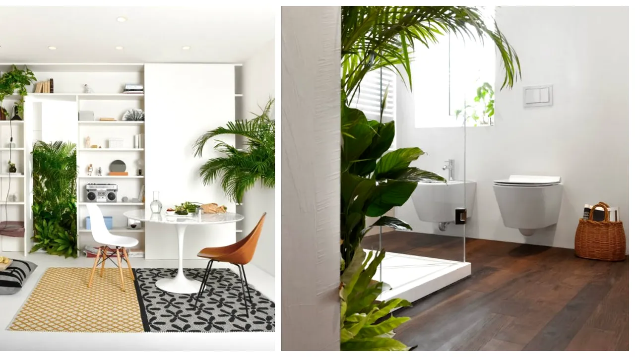 Modern si minimalist! Acest apartament desprins din visele tale are cel mai fresh look. Cum ajuta peretii la cresterea plantelor 