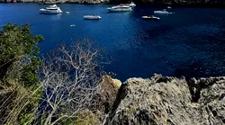 Galerie foto - Poza #4