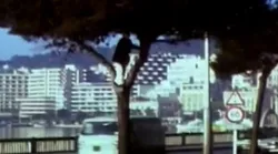 Galerie foto - Poza #4