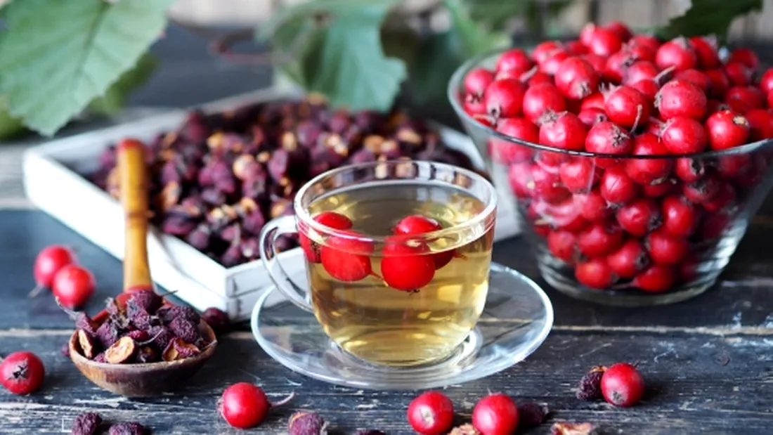 Ceaiul de păducel, elixir pentru o inimă puternică și o viață mai lungă. Așa îl prepari corect