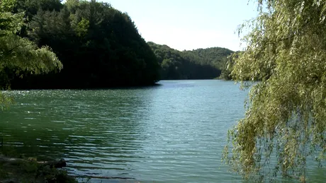 Locul din judetul Bihor unde lemnul e mai profitabil decat turismul. Ce se intampla in tara