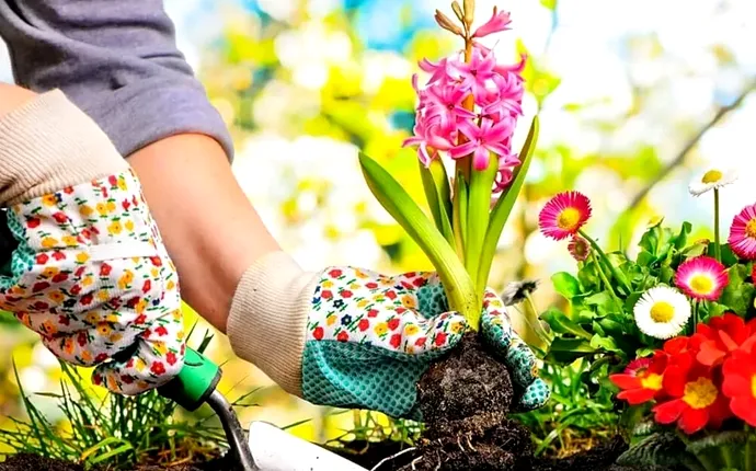 Top 5 flori bulboase de vară care se plantează în aprilie