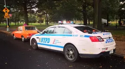 Galerie foto - Poza #4