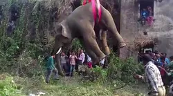 Galerie foto - Poza #4