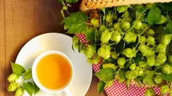 Galerie foto - Poza #4