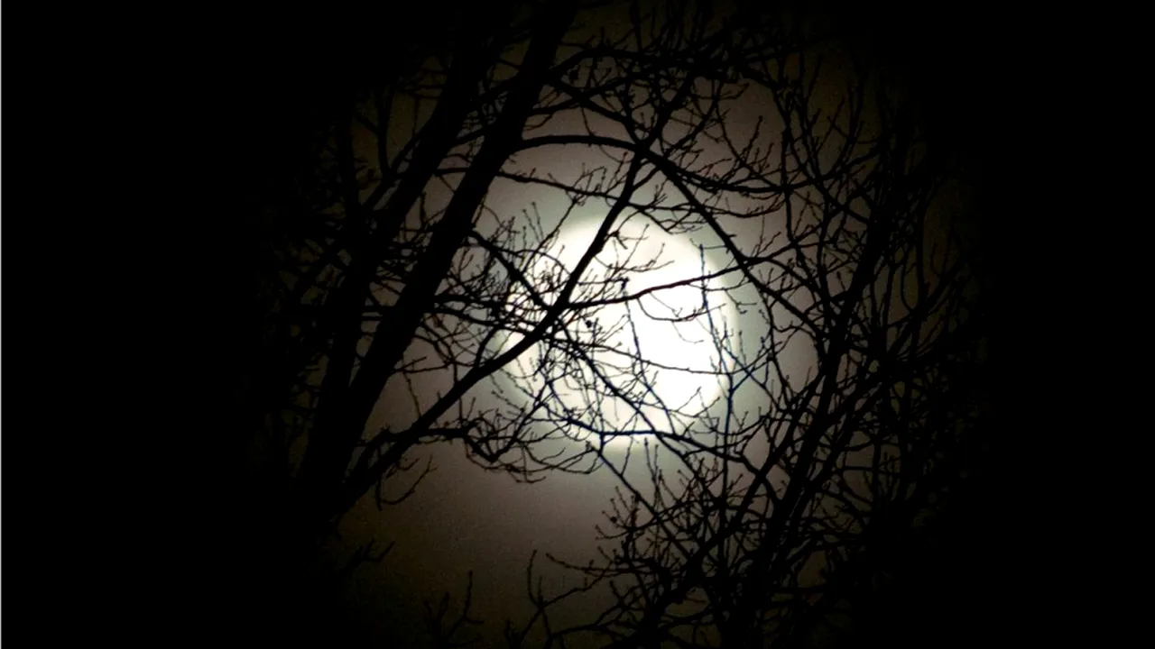 horoscop 20 noiembrie 2018 