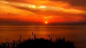 Horoscop 31 martie 2019: Racii vor avea de semnat documente oficiale!