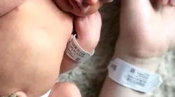 Galerie foto - Poza #4