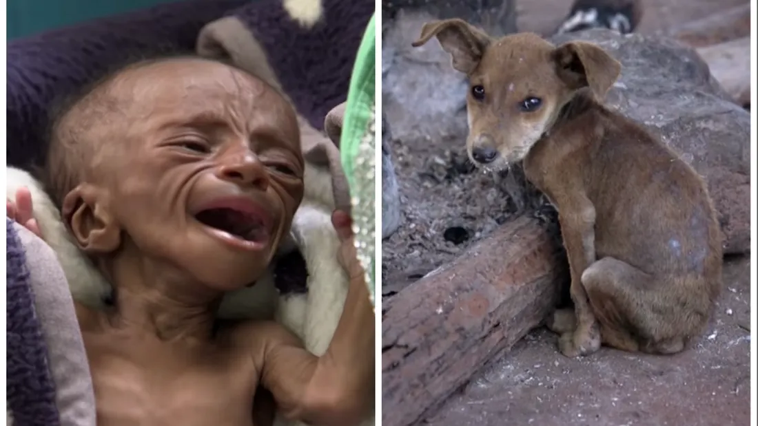 Angola, tara unde mor cei mai multi copii. Peste 6 milioane de nou nascuti, pe an! Imaginile iti vor sfasia sufletul VIDEO