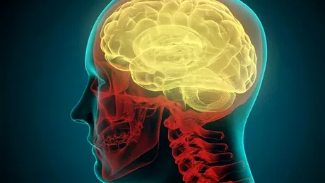 Descoperire de ultima ora: ce se intampla cu creierul uman dupa ce intra in moarte clinica