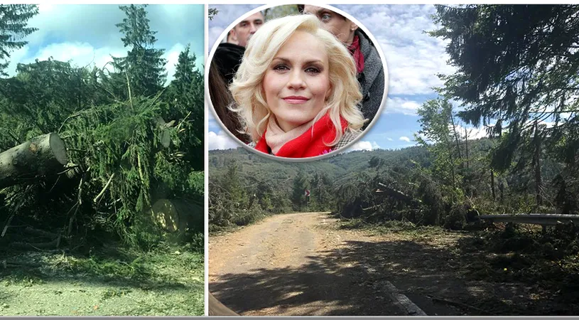 Furtuna periculoasa in Bucuresti! Gabi Firea avertizeaza oamenii sa stea in casa. Ce se intampla dupa ora 20.00