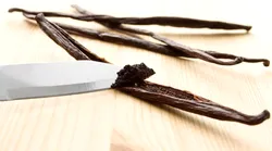 Galerie foto - Poza #4