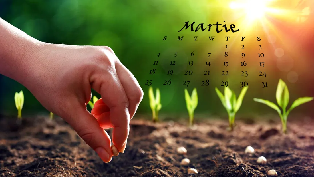 Ce legume și flori se plantează în luna martie pentru o grădină de vis
