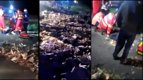 Un șofer turc a spulberat o familie întreagă! Tragedia s-a produs pe un drum din Brăila