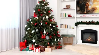 Trucuri simple pentru ca bradul de Crăciun să reziste mai mult. N-o să dai greș cu ele!