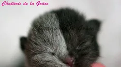 Galerie foto - Poza #4