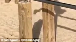 Galerie foto - Poza #4