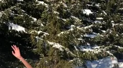 Galerie foto - Poza #4