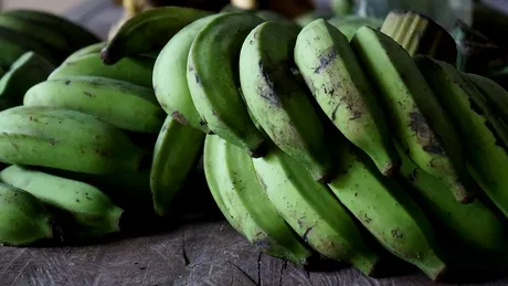Bananele verzi, importante pentru organism. De ce nu trebuie sa le ocolesti