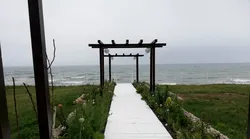 Galerie foto - Poza #4