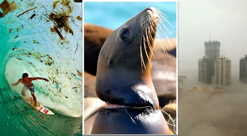 21 de imagini ingrozitoare care ne arata ca umanitatea s-a distrus! Cum ne batem joc de NATURA