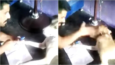 Barbatul acesta si-a batut cainele fara pic de mila. Nu o sa iti vina sa crezi motivul. Ce nu putea sa faca animalul VIDEO