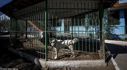 Galerie foto - Poza #4