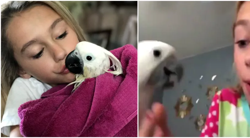 Papagalul care se crede dentist! S-a apropiat de stapana lui de doar 11 ani si a facut un gest la care fetita nu se astepta. Imaginile VIDEO au devenit virale