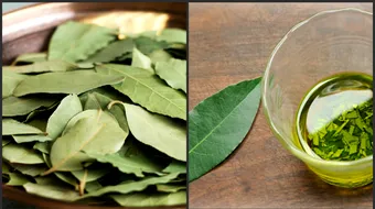 Frunzele de dafin – beneficii pentru organism. De ce le pun gospodinele adevarate in mancare