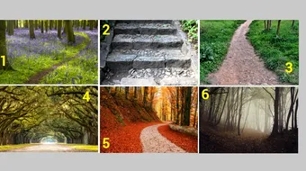 Test de personalitate. Drumurile astea iti spun cum iti va merge in 2019. Tu pe care il alegi?