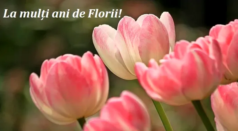 Mesaje de Florii. Cele mai frumoase SMS-uri, urări și felicitări pe care poți să le trimiți oamenilor dragi