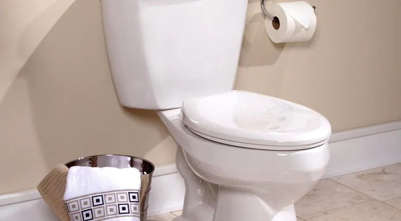 S-a dus sa isi faca nevoile la baie si a inlemnit! Ce a gasit in WC dupa ce a ridicat capacul