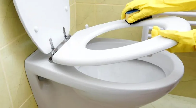 Buretele magic îndepărtează petele galbene ale scaunului de toaletă în câteva secunde. Cum se folosește