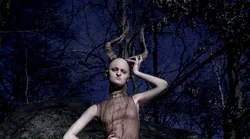 Galerie foto - Poza #4