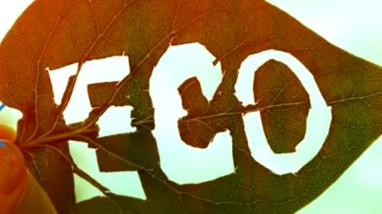 Etichetele ECO pe mâncare: PĂCĂLEALĂ sau adevăr?