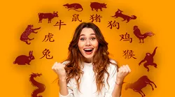 Galerie foto - Poza #2